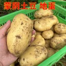 2025现挖现发黄皮黄心山东土豆新鲜当季 农家蔬菜阳芋马铃薯5斤9斤