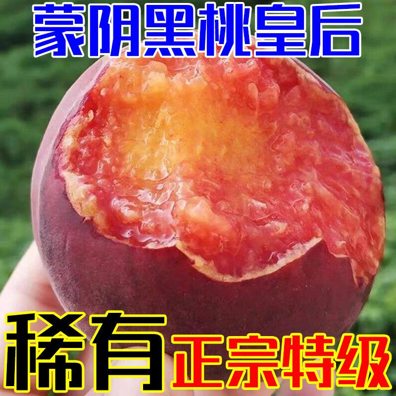 山东正宗蒙阴蜜桃黑桃皇后水蜜桃当季酸甜可口新鲜水果毛桃非血桃 - 实物图