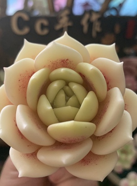 Cc原创树脂黏土仿真抹茶多肉月影天鹅绒摆件蓝丝绒永生日礼物乌木