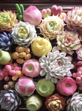 Cc手作树脂黏土仿真多肉永生花框巴黎锦玫瑰桌面摆件生日情人礼物