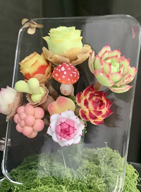 Cc原创树脂黏土仿真蘑菇饺子多肉玉蝶锦乌木玫瑰相框摆件生日礼物