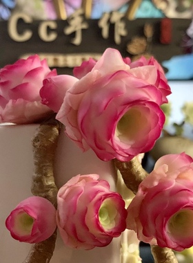 Cc原创迷你树脂黏土仿真多肉山地玫瑰植物小老桩虾饺汽车摆件生日