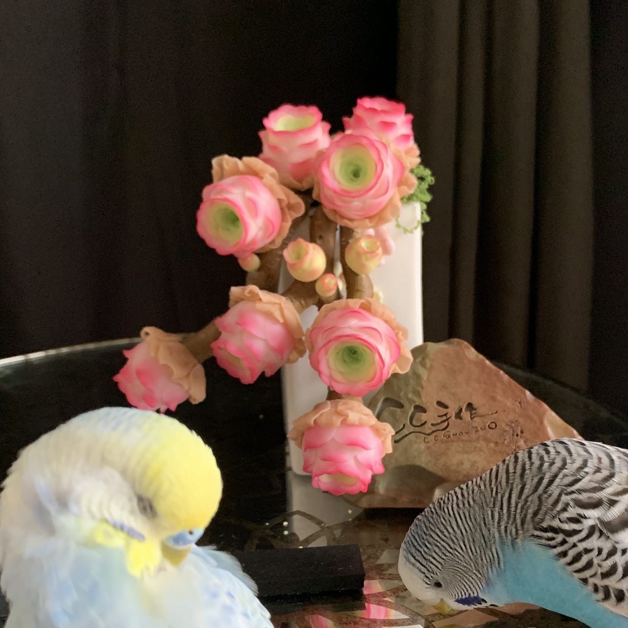 迷你手工粘土多肉虾饺白茶玫瑰