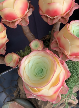 仿真多肉植物妩媚山地玫瑰盆栽树脂粘土纯手工花室内客厅装饰摆件