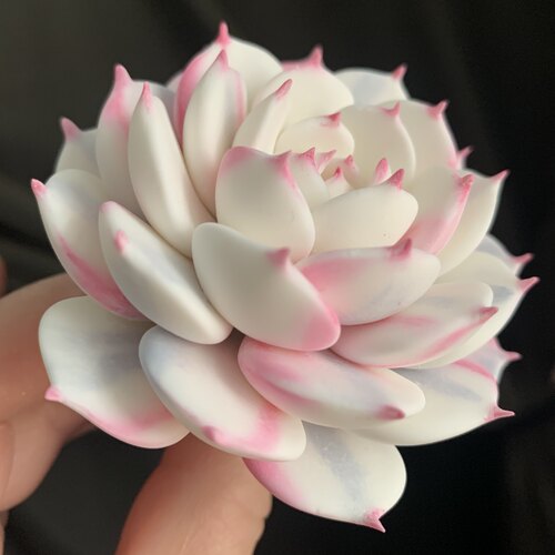 手工粘土多肉巴黎锦摆件生日抹茶