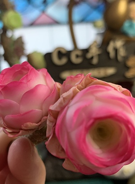 Cc原创迷你树脂黏土仿真多肉山地玫瑰植物小老桩虾饺汽车摆件生日