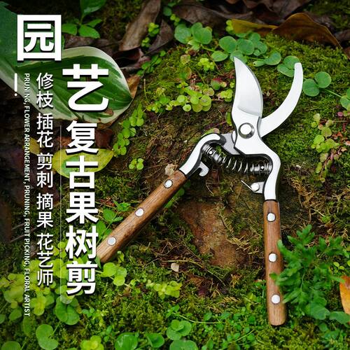 园林果树剪复古花园剪园艺修枝剪树枝剪叶芽剪葡萄剪刀强力摘果剪