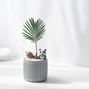 铁树苏铁宝宝盆栽 喜阳抗旱好养绿植 北欧风情绪解压简约新家植物