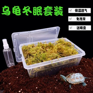 乌龟冬眠箱爬虫过冬用品巴西龟保温箱沙土苔藓饲养箱冬天保暖套装