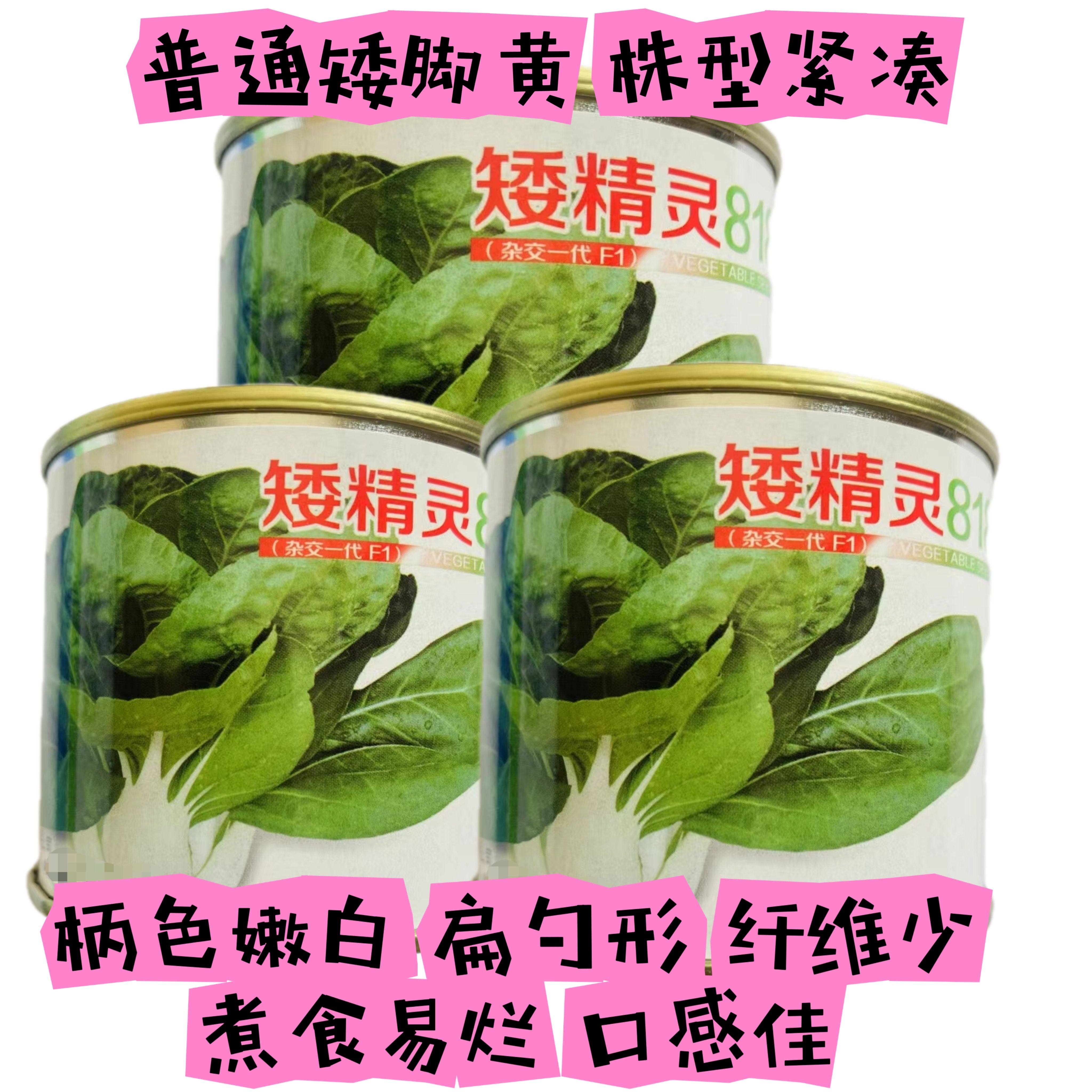 矮精灵矮脚黄耐热杂交油菜种子青梗菜籽大头束腰耐雨抗病蔬菜种子