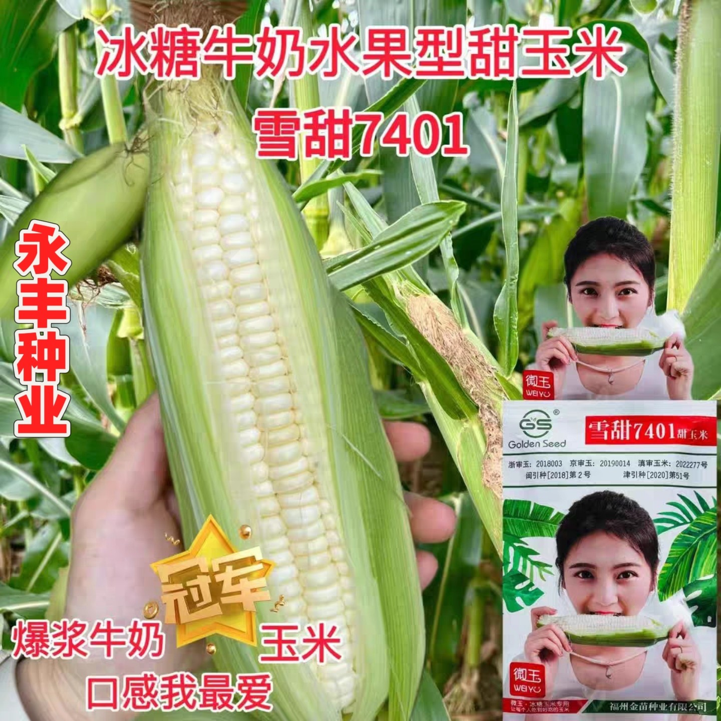 雪甜7401超甜爆浆牛奶水果玉米种子籽粒白色口感特甜生食抗病性好