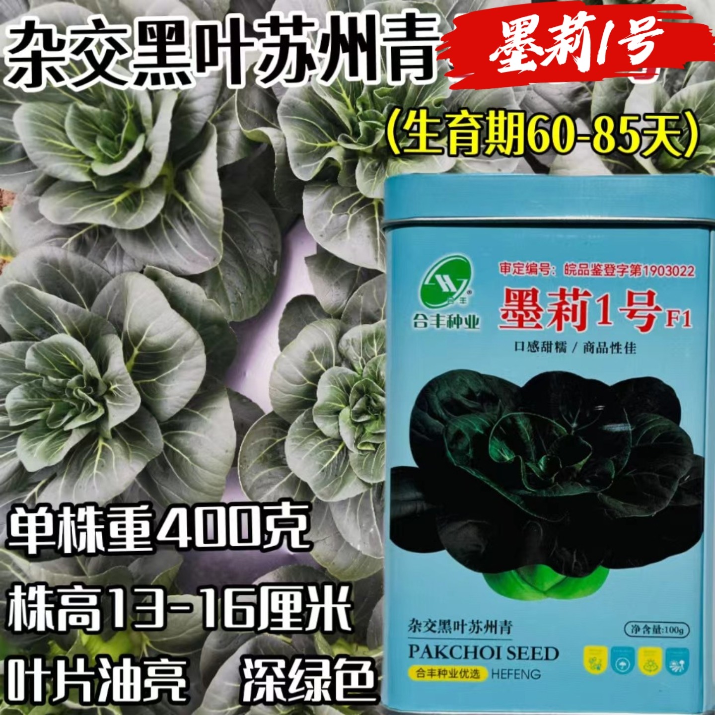 合丰墨莉系列杂交黑叶苏州青种子抗病耐寒口感甜糯青菜种籽四季播图片