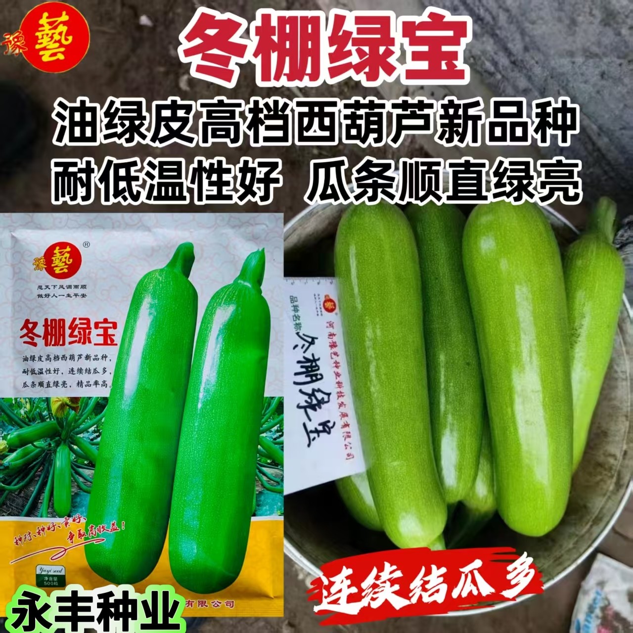 豫艺冬棚绿宝西葫芦种子油绿皮耐低温占瓜种籽大田基地春秋季播种