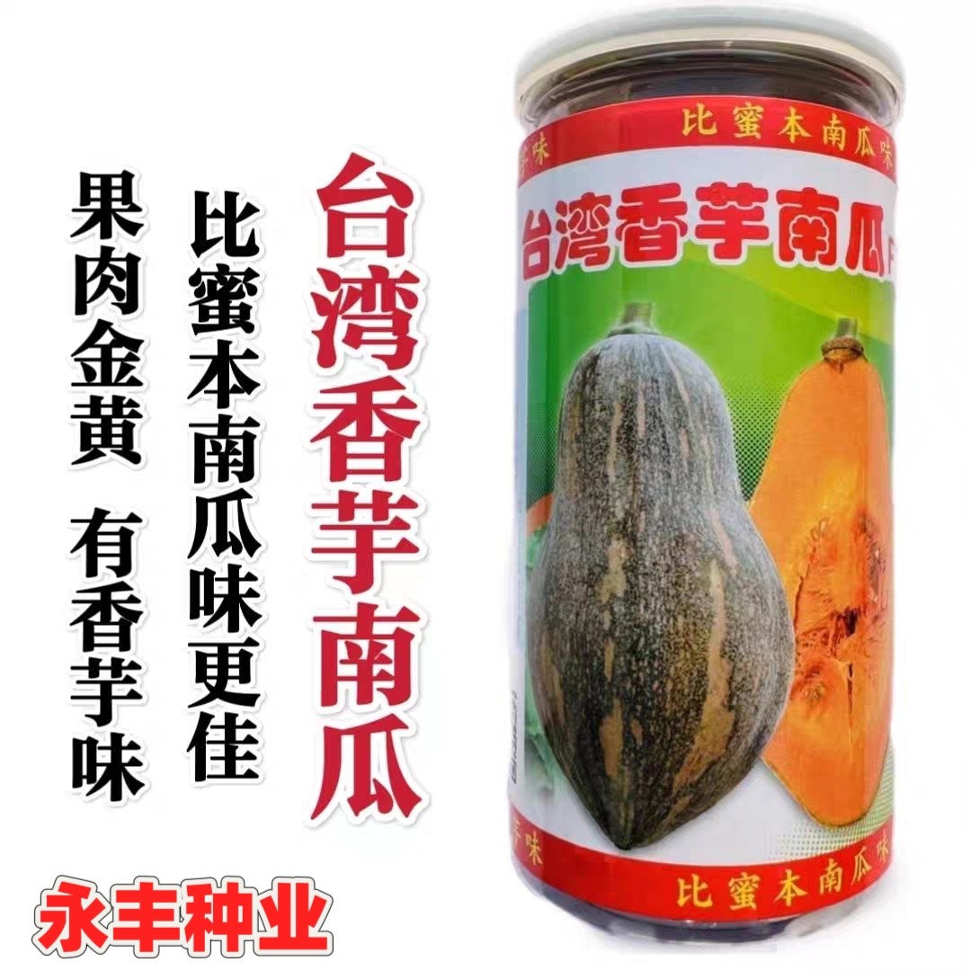 台湾香芋南瓜种子早熟高产香甜粉糯香芋味南瓜种籽春夏秋蔬菜种孑