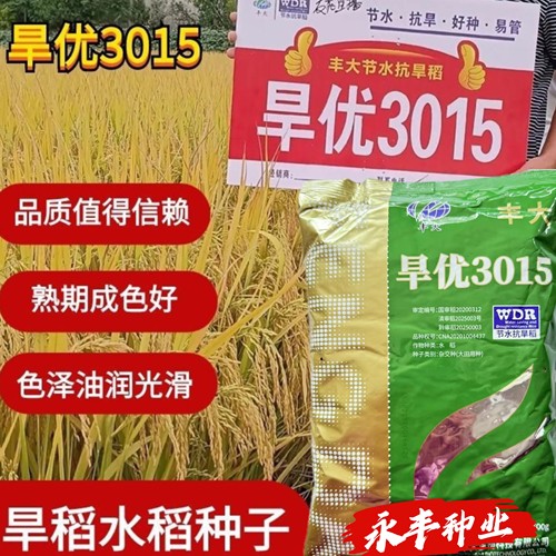 优质旱稻种子旱优3015节水杂交稻耐热好种抗病抗倒优质米旱稻种
