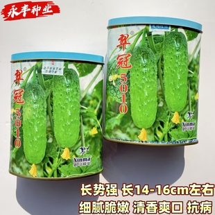 新马翠冠翠玉水果黄瓜种子口感好翠绿油亮早熟高产商品性佳春秋播
