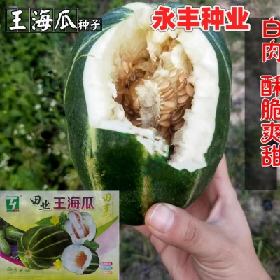 王海瓜种子超甜高糖水果脆瓜种子超甜王海瓜甜瓜种孑三白瓜香瓜籽