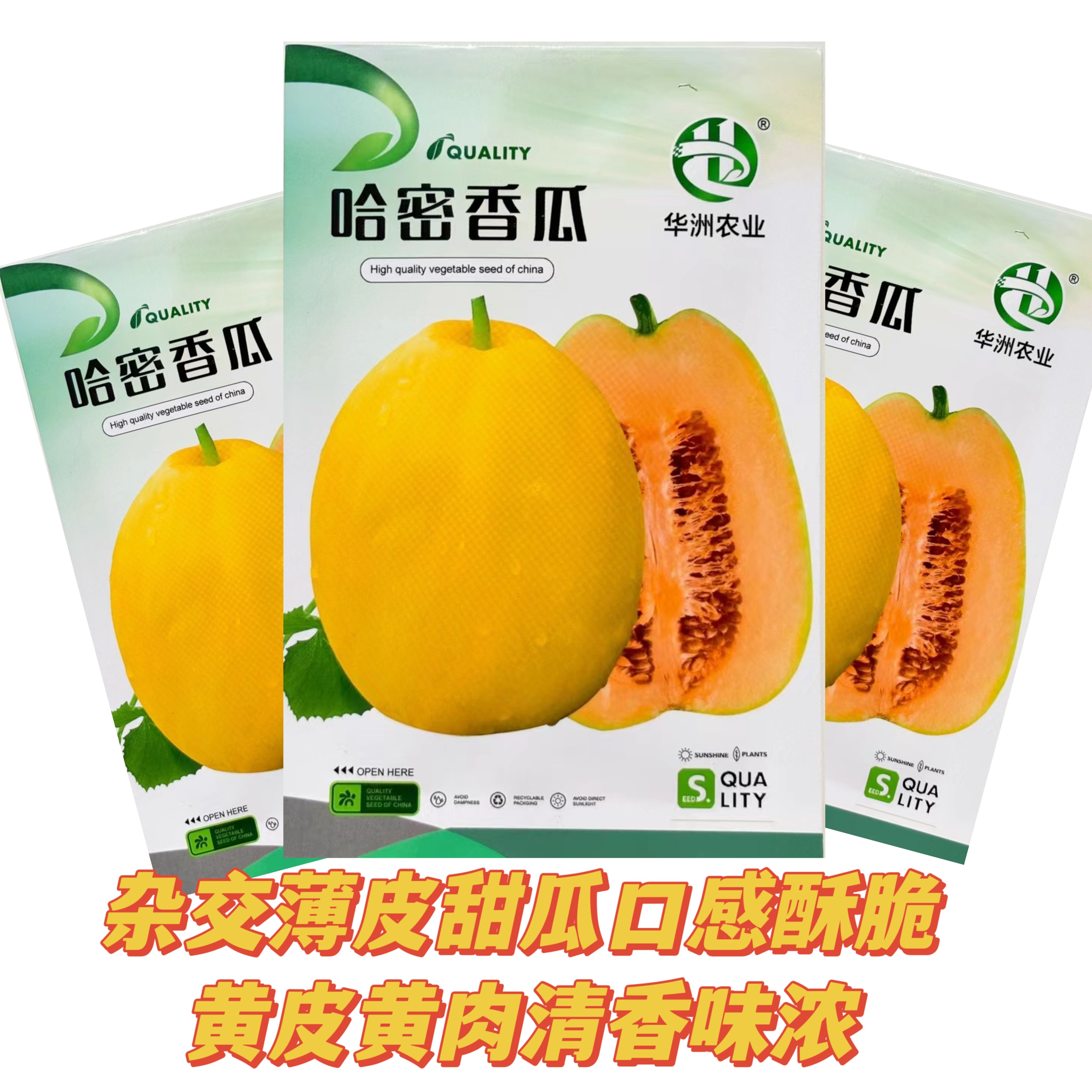 哈密甜瓜种子薄皮甜瓜种籽高圆形黄皮黄肉香瓜种子春播甜瓜种籽