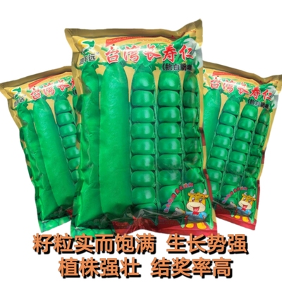 台湾长寿仁豌豆种子大粒味甜高抗白粉病农家大田春秋播甜豌豆种孑