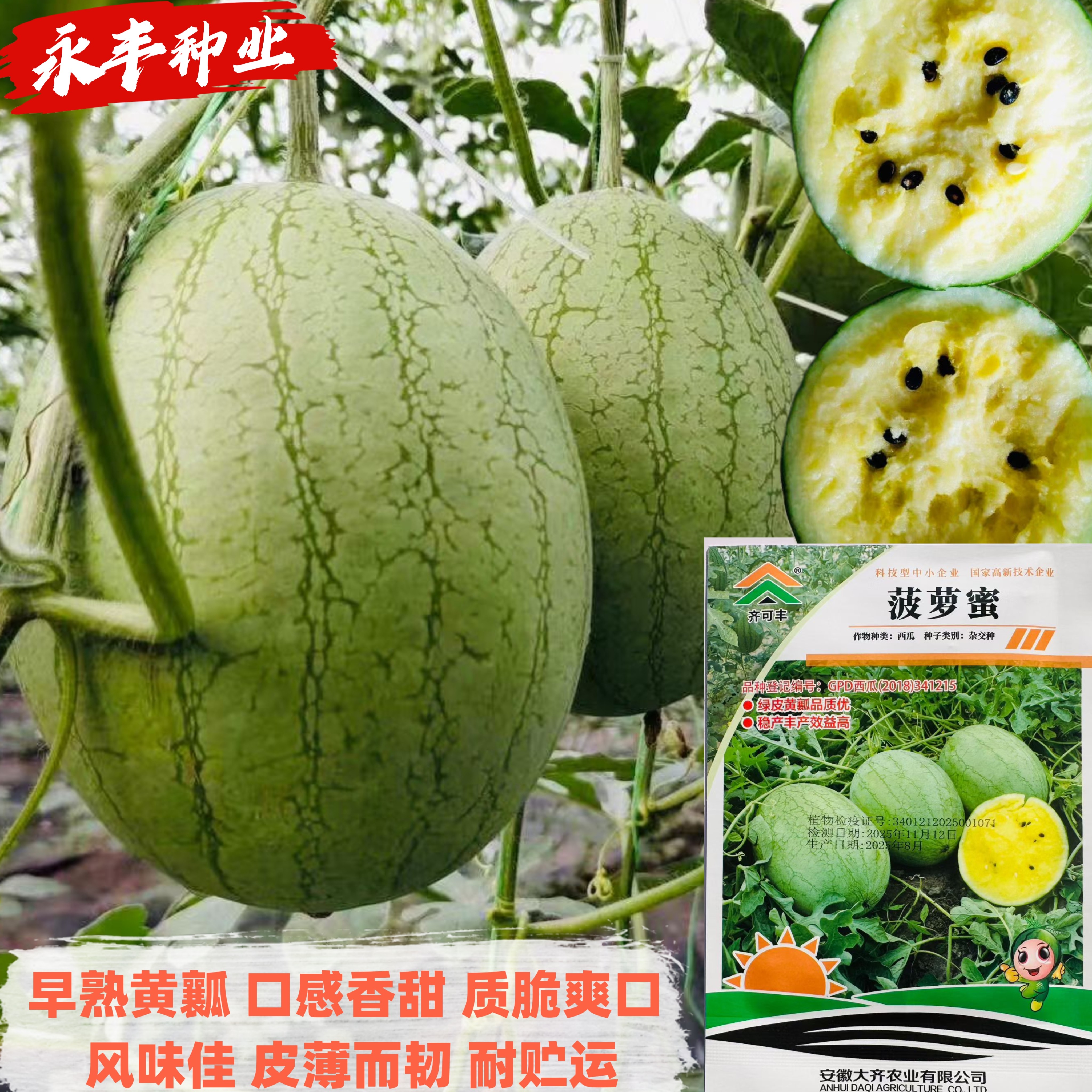 菠萝蜜黄瓤西瓜种子早熟高产薄皮椭圆核桃纹早熟种子籽蔬菜籽小优