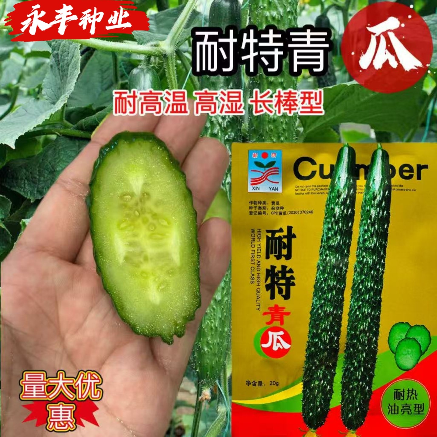 耐特青瓜长棒型黄瓜种子早熟刺密顺直耐热耐高温高湿抗病春夏秋播