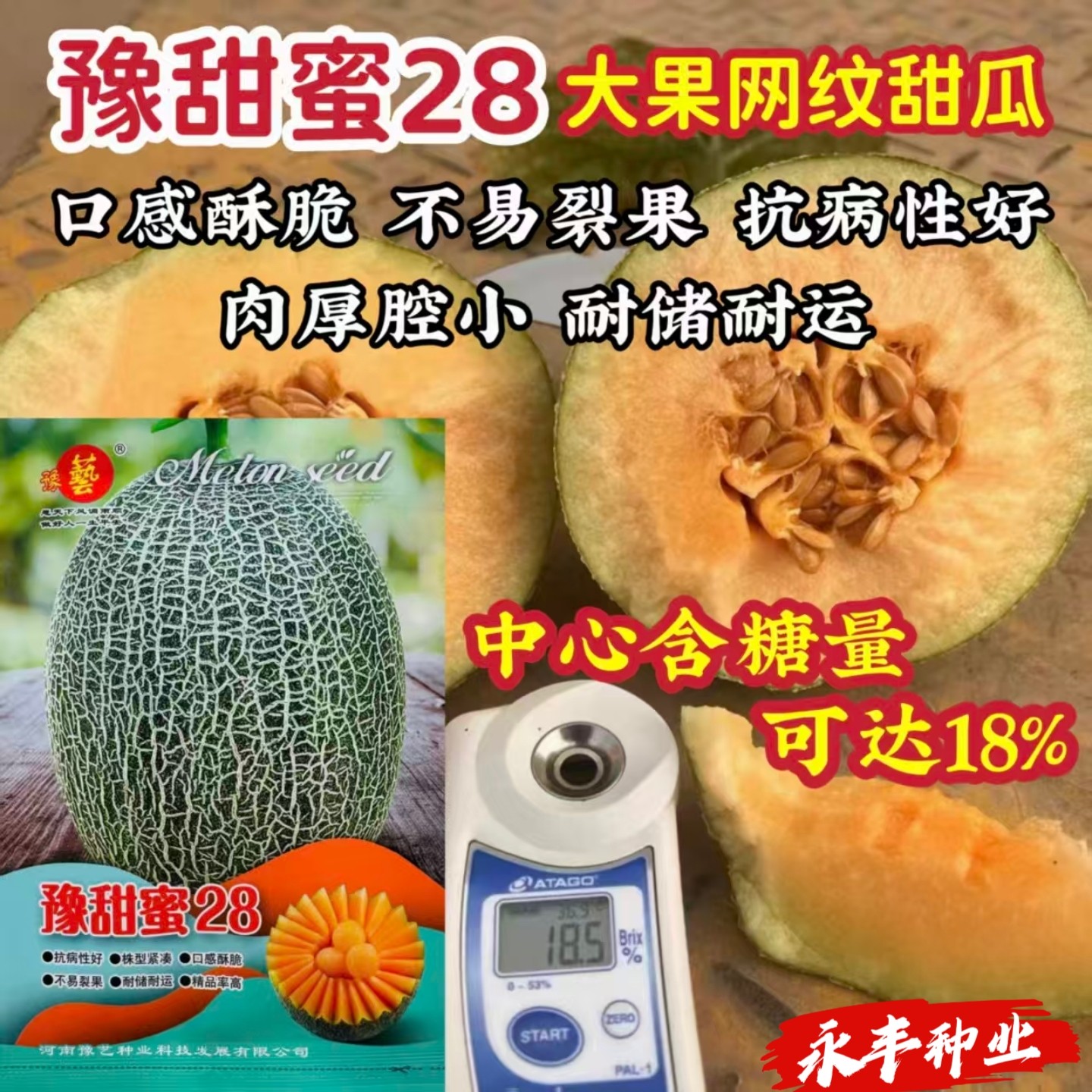 豫甜蜜28甜瓜种子早熟高产抗病不裂果肉厚腔小酥脆网纹甜瓜种春播