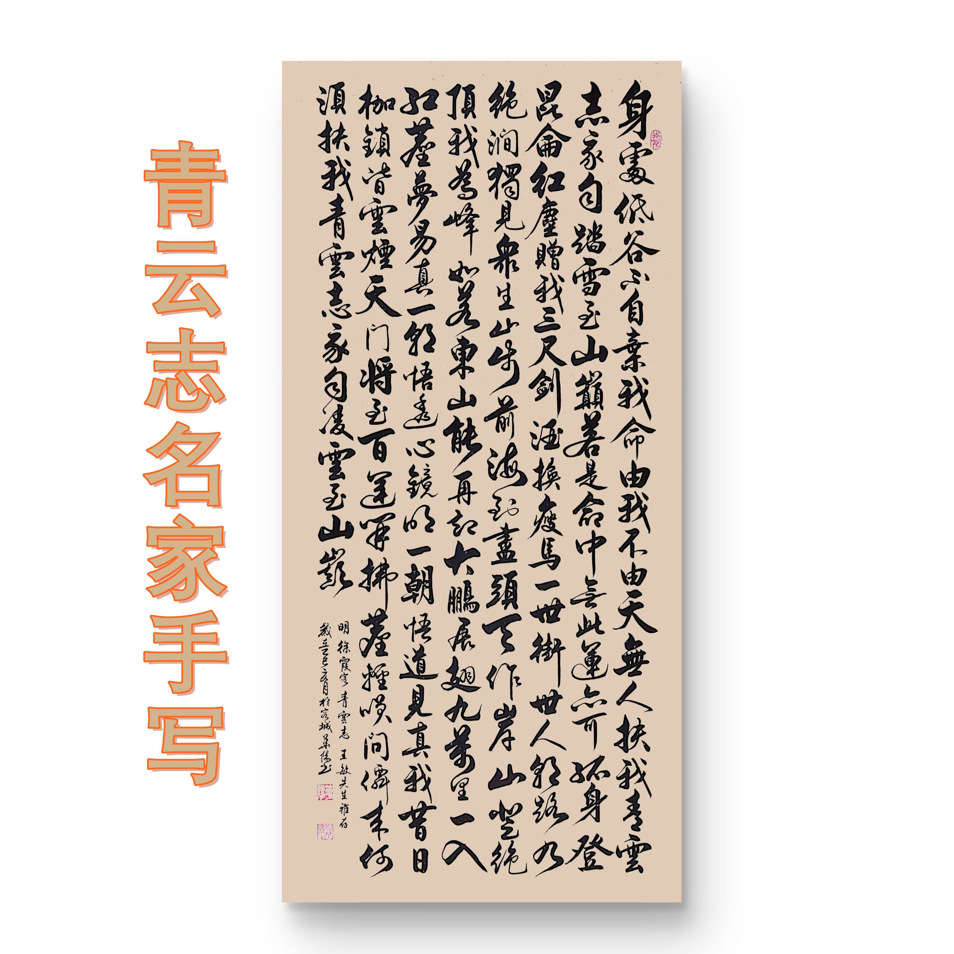 青云志名家真迹手写书法竖幅挂画