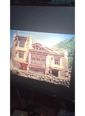 辉达 reflecta DIAMATOR A 100