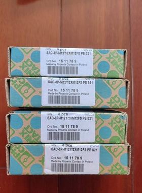 东辉仪表DY2000 智能数字显示仪DY21E9966P 量