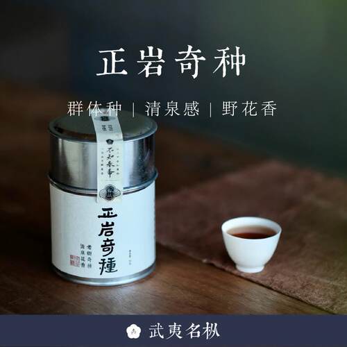 武夷岩茶不知春斋草木君正岩奇种