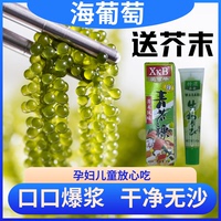 兒童海葡萄即食泡發(fā)綠色