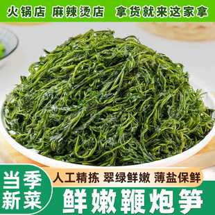 鞭炮笋长寿菜盐渍马尾藻羊栖菜商用批发海藻海菜火锅食材炮仗笋