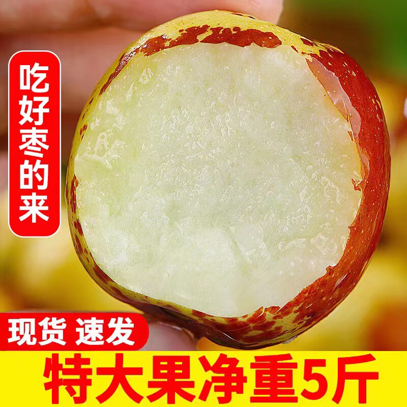 山东沾化冬枣新鲜大枣脆甜应季水果现摘现发当季特大枣子5斤包邮