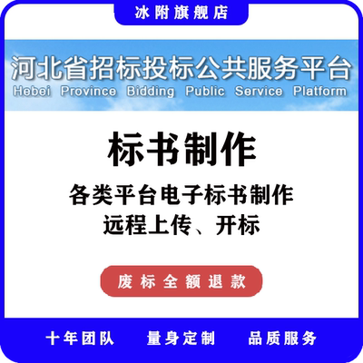 河北省招标投标公共服务平台 电子标书制作，远程上传、开标