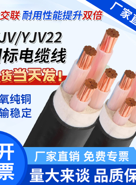 远东交联YJV2 3 4 5芯充电桩2.5VV4 6 10 16 25 35平方三相电缆线