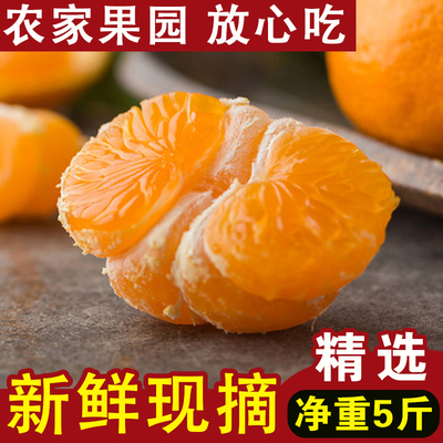 年货特产临海涌泉蜜桔10斤装