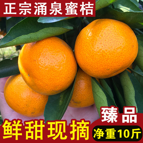 正宗临海涌泉蜜桔超甜10斤包邮