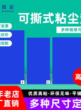 工厂可撕式蓝色粘尘垫定制大小尺寸无尘车间风淋室一性次粘灰地垫