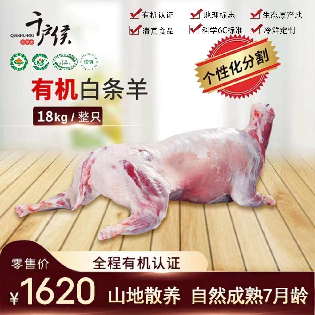 千户侯整白条羊右玉羊肉有机羊肉羔羊山西羊肉
