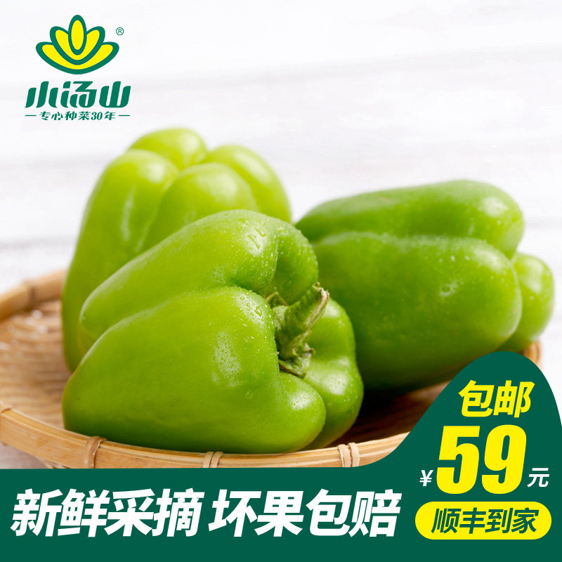【小汤山】青圆椒 约300g 新鲜蔬菜当天采摘北京农场顺丰到家