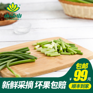 约300g 蒜苔蒜薹 新鲜蔬菜安全可追溯北京农场顺丰到家 小汤山