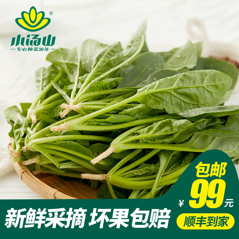 【小汤山】菠菜苗 约150g 新鲜蔬菜基地种植当天采摘99元包顺丰