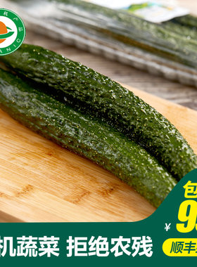 小汤山有机黄瓜有机蔬菜