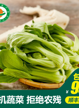 小汤山有机油菜有机蔬菜
