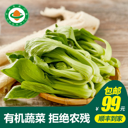 【小汤山】有机油菜 约250g 有机蔬菜当天采摘北京农场顺丰到家