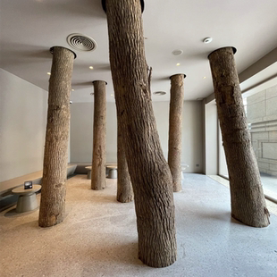 实木树墩天然树桩木墩松树柳树墩木敦子原木凳木头凳子木根木头桩