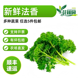新鲜 荷兰芹250g 法香反西番西可食用火锅摆盘餐饮蛋糕摆盘装饰