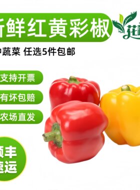 云南本地红彩椒大红辣椒