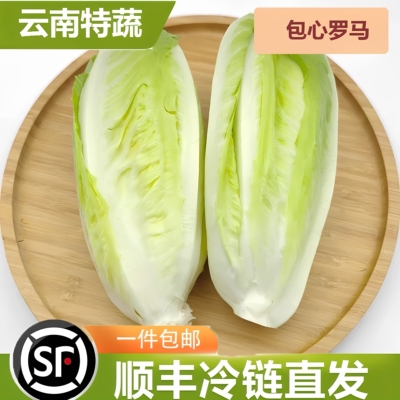 云南新鲜包罗生菜包心罗纹包心罗马蔬菜沙拉生菜500g绿色西餐沙拉