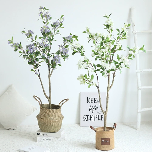 Моделирование Qianli Дерево ладана псевдома растения